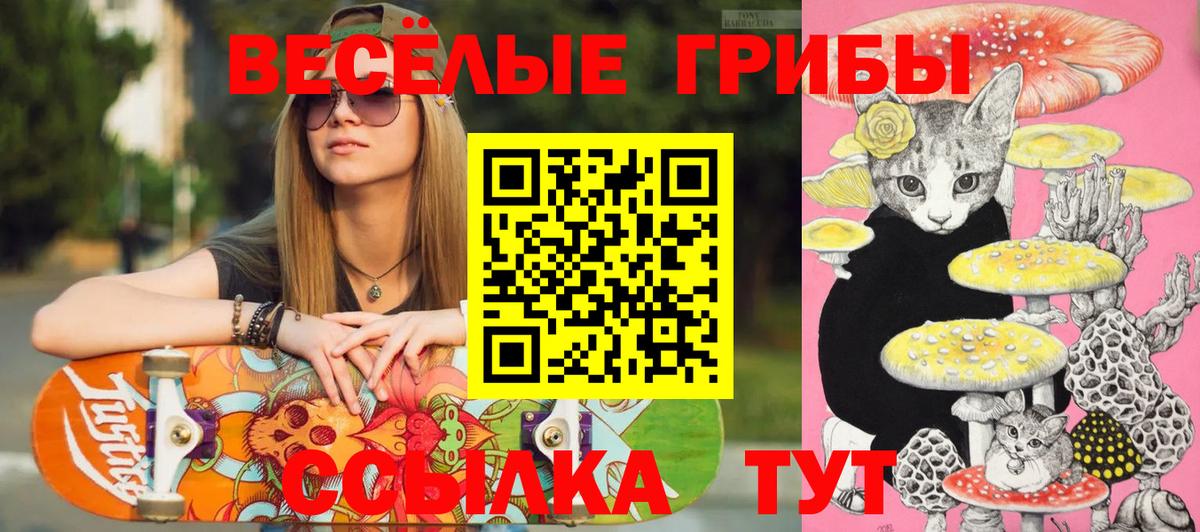 Иркутск  Галлюциногенные грибы GOLDEN TEACHER  Вход с VPN 